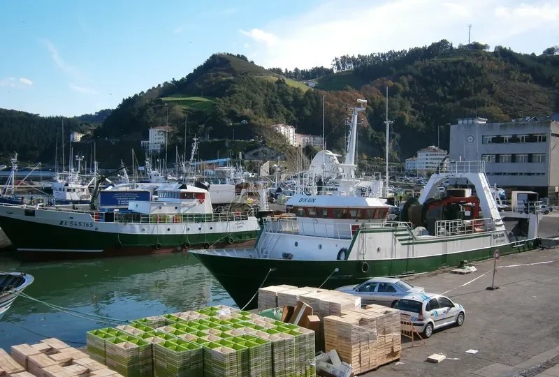 BIKAIN General Cargo IMO 9095333 photo 7