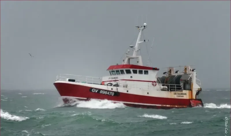 LES CALANQUES General Cargo IMO 9095668 photo 3