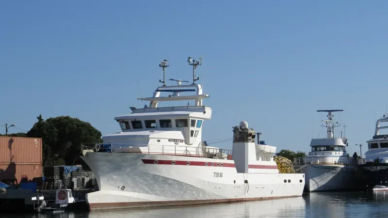 VILLE D'AGDE IV General Cargo IMO 9096624 photo 2