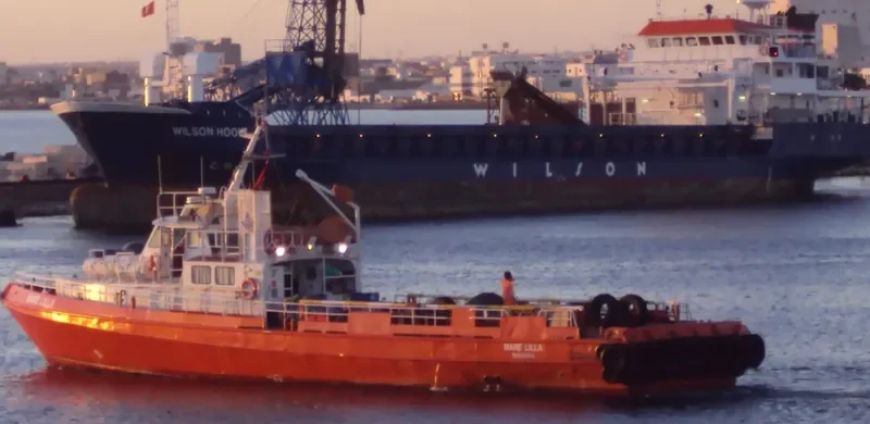 MARE LILLA Offshore Vessel IMO 9096686 photo 6