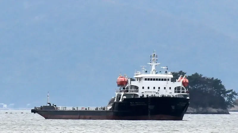 MEGA PIONEER General Cargo IMO 9096765 photo 2