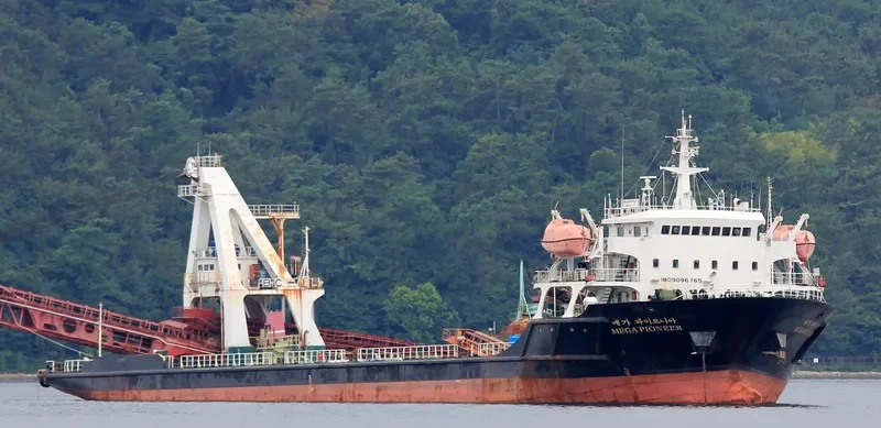 MEGA PIONEER General Cargo IMO 9096765 photo 7