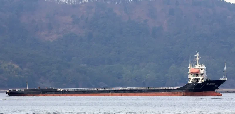 MEGA PIONEER General Cargo IMO 9096765 photo 8