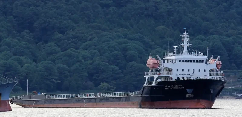 MEGA PIONEER General Cargo IMO 9096765 photo 9