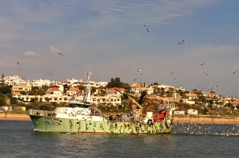 CENTAURUS General Cargo IMO 9096856 photo 2