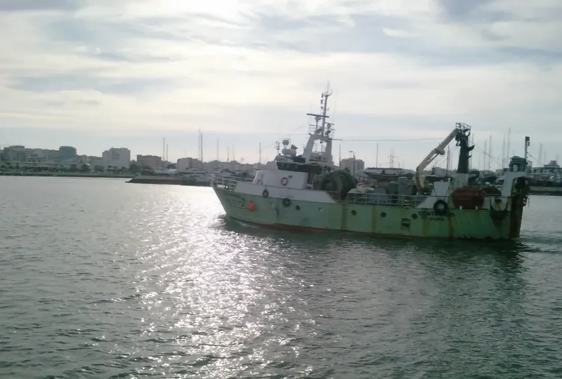 CENTAURUS General Cargo IMO 9096856 photo 3