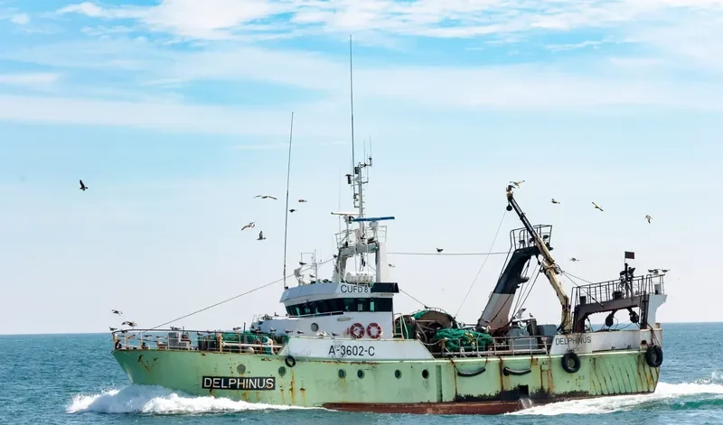 DELPHINUS General Cargo IMO 9096868