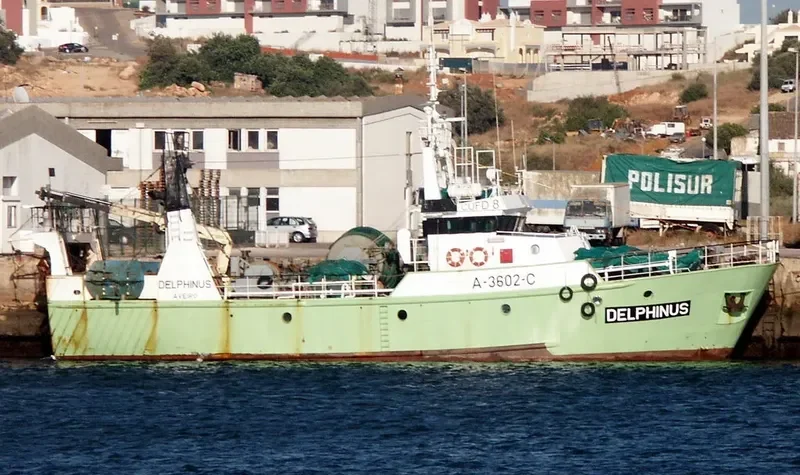 DELPHINUS General Cargo IMO 9096868 photo 2