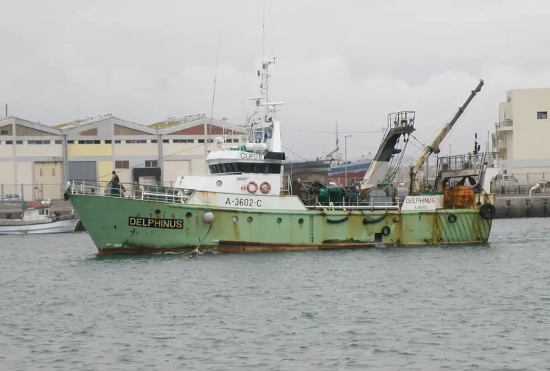 DELPHINUS General Cargo IMO 9096868 photo 4