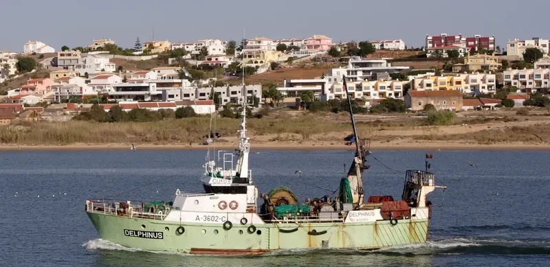 DELPHINUS General Cargo IMO 9096868 photo 7
