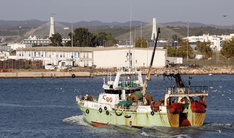 DELPHINUS General Cargo IMO 9096868 photo 8