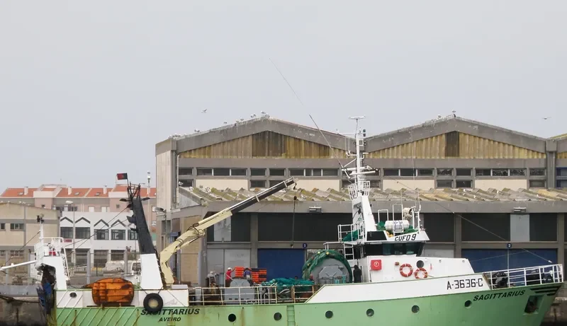 SAGITTARIUS General Cargo IMO 9096870 photo 6
