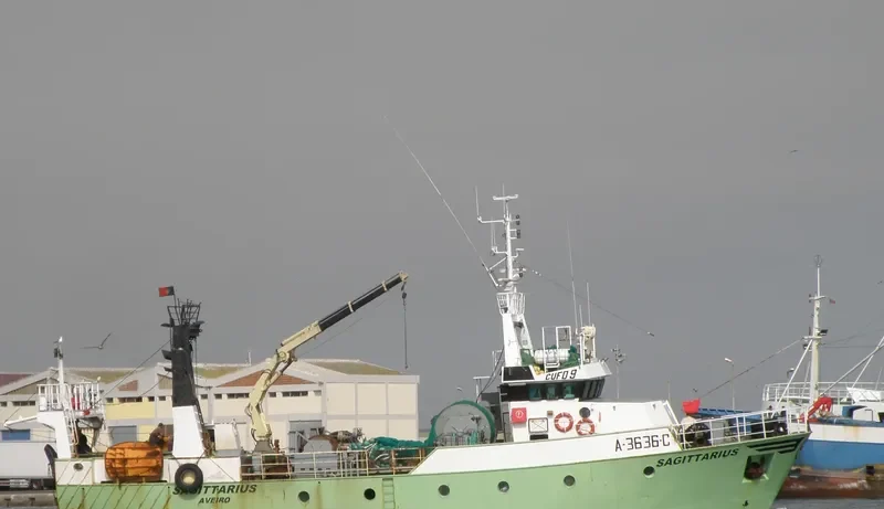 SAGITTARIUS General Cargo IMO 9096870 photo 9