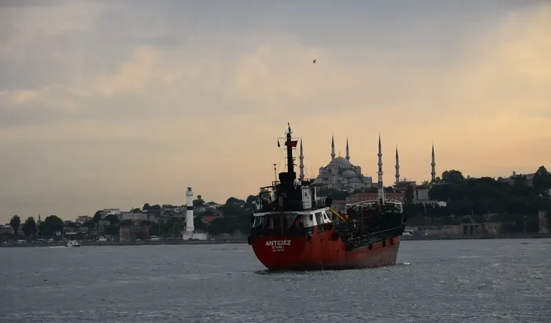 ANTEMIZ Tanker IMO 9097458 photo 2
