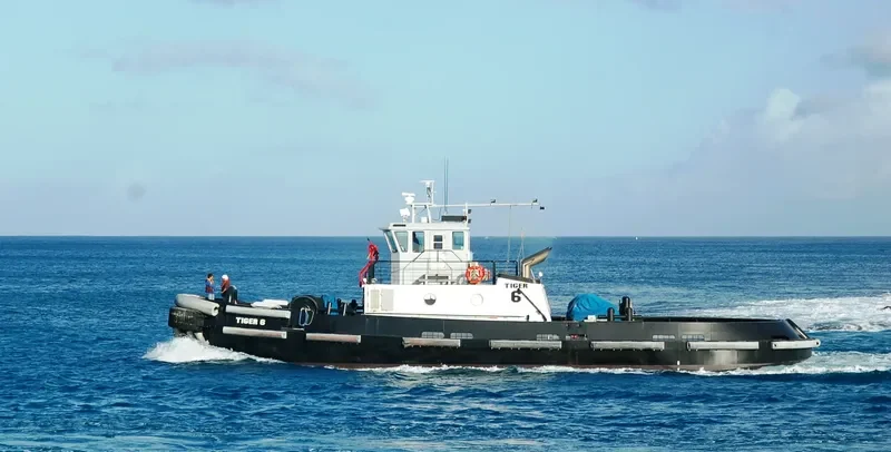 TIGER 6 General Cargo IMO 9097599 photo 6