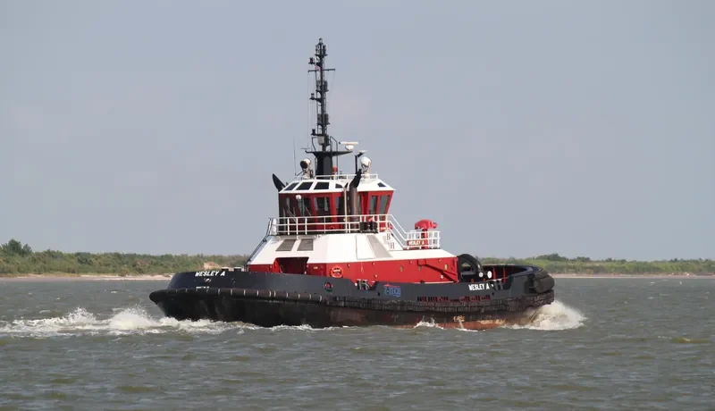 WESLEY A General Cargo IMO 9097628 photo 2
