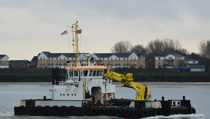 PORT SERVICER General Cargo IMO 9098402 photo 4