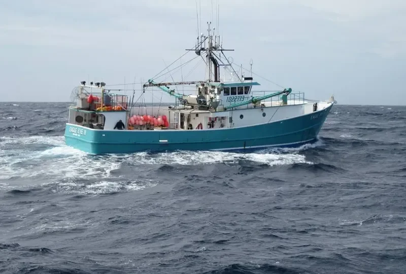 EAGLE EYE II General Cargo IMO 9098713