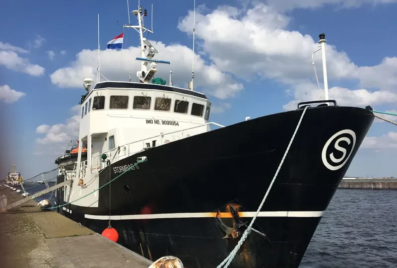 SEA EAGLE General Cargo IMO 9099054