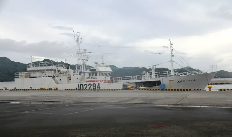 KOEI MARU NO.31 General Cargo IMO 9099286 photo 3