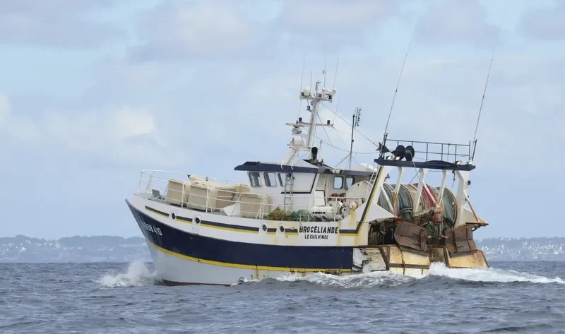 BROCELIANDE General Cargo IMO 9099391 photo 2
