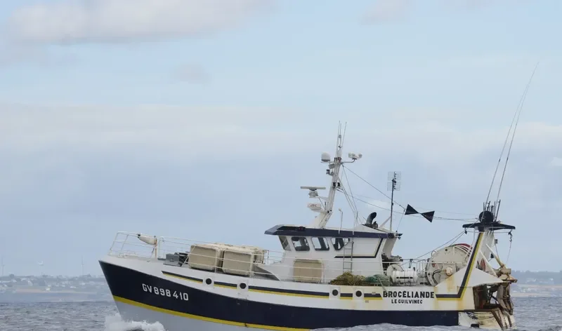 BROCELIANDE General Cargo IMO 9099391 photo 3