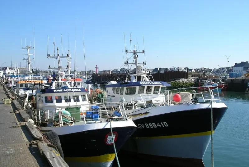 BROCELIANDE General Cargo IMO 9099391 photo 9