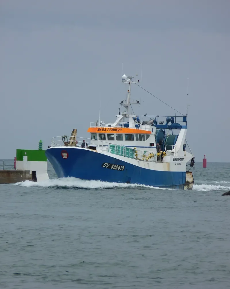 BARA PEMDEZ II General Cargo IMO 9099406 photo 9