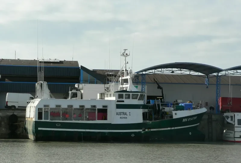 AUSTRAL I General Cargo IMO 9099420 photo 7