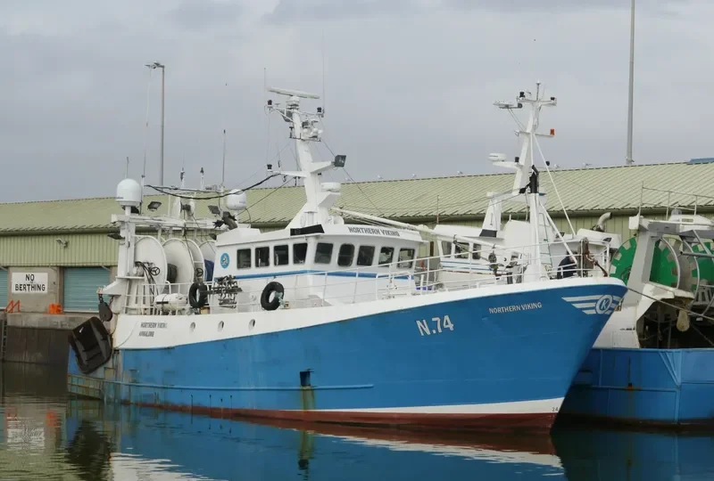NORTHERN VIKING General Cargo IMO 9099509