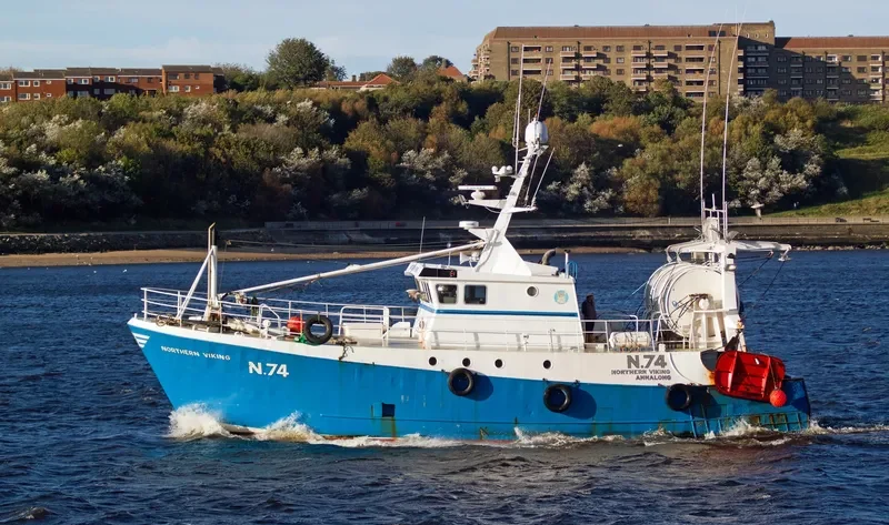 NORTHERN VIKING General Cargo IMO 9099509 photo 7