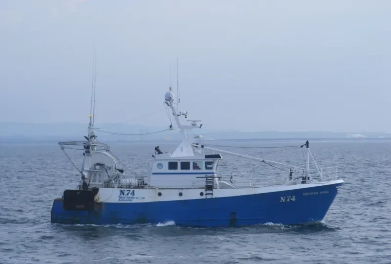 NORTHERN VIKING General Cargo IMO 9099509 photo 8