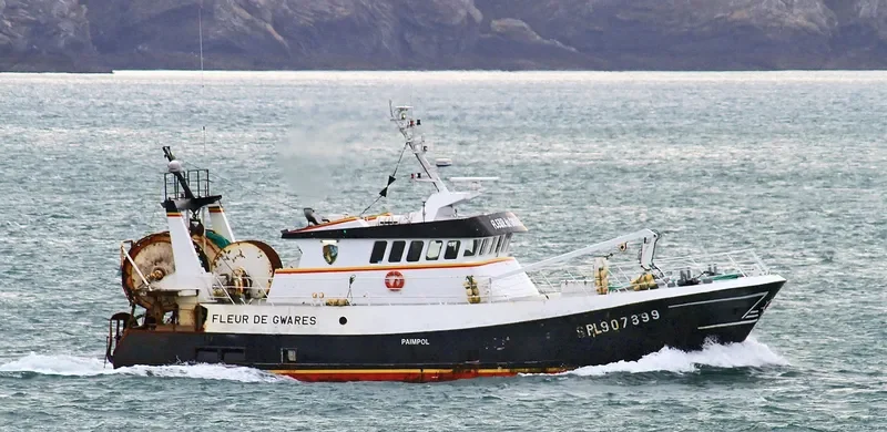 FLEUR DE GWARES General Cargo IMO 9099511