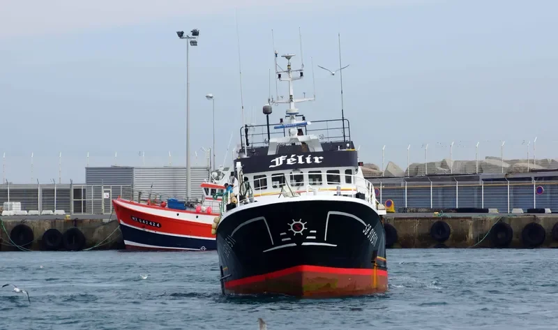 FELIR General Cargo IMO 9099547 photo 3