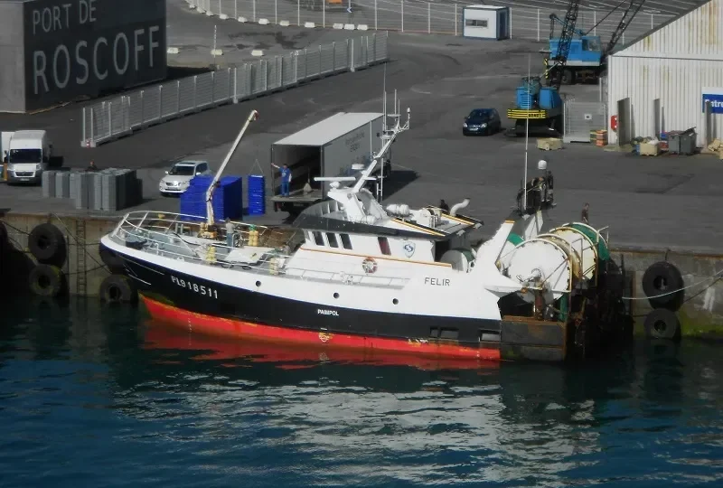 FELIR General Cargo IMO 9099547 photo 4