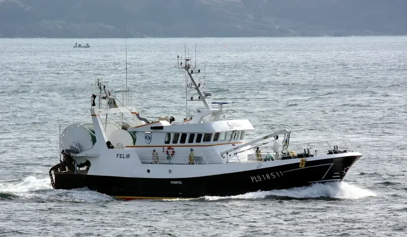 FELIR General Cargo IMO 9099547 photo 8