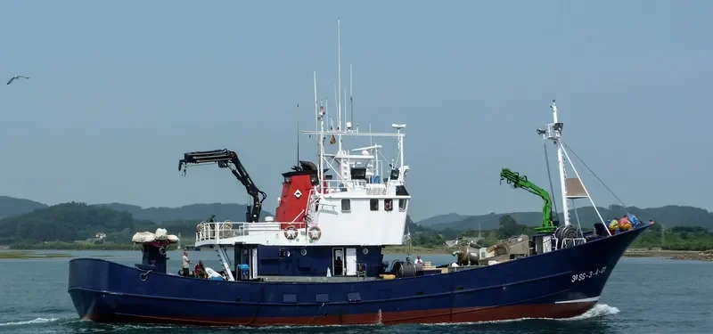 BETI PIEDAD General Cargo IMO 9099743