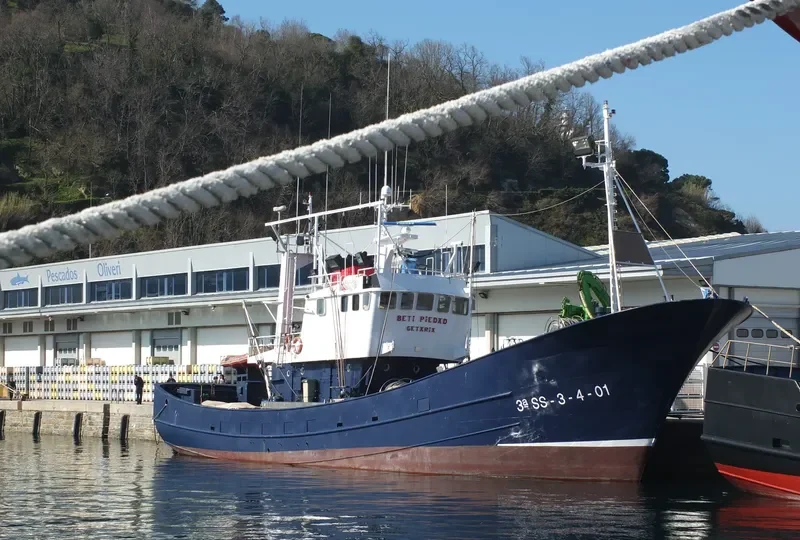 BETI PIEDAD General Cargo IMO 9099743 photo 5