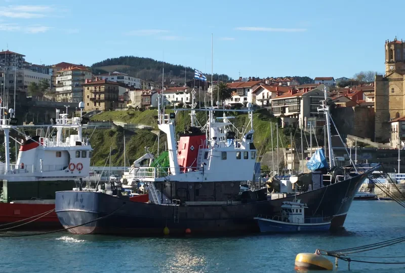BETI PIEDAD General Cargo IMO 9099743 photo 6
