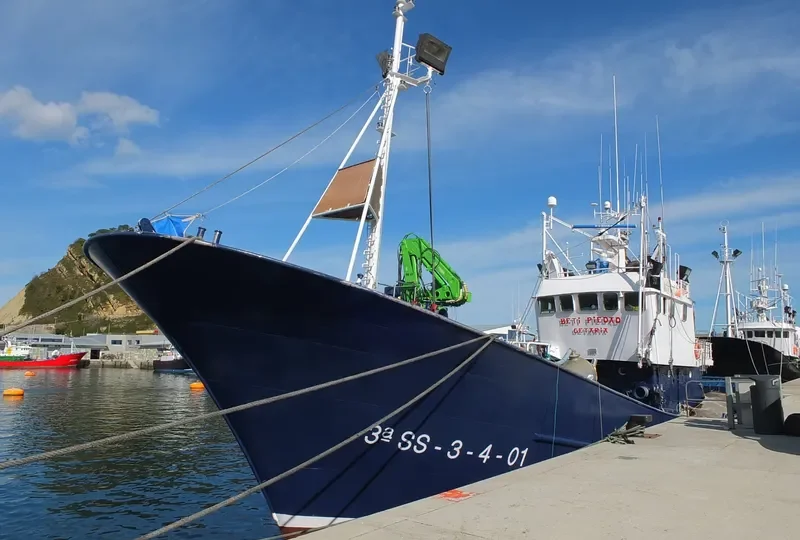 BETI PIEDAD General Cargo IMO 9099743 photo 9