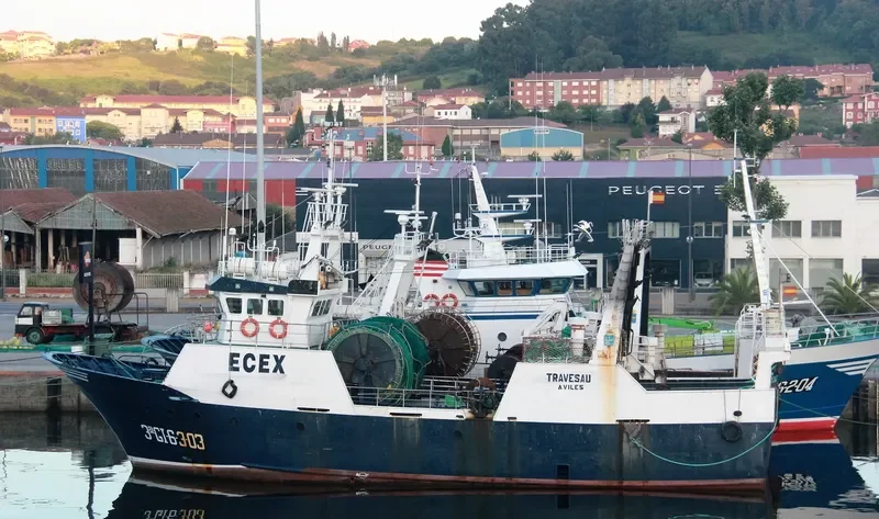 TRAVESAU General Cargo IMO 9099755