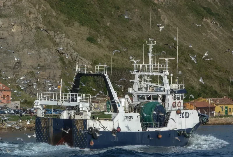 TRAVESAU General Cargo IMO 9099755 photo 3