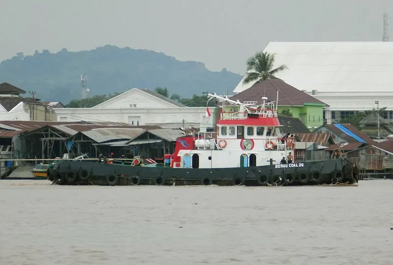 BERAU COAL 26 General Cargo IMO 9099858