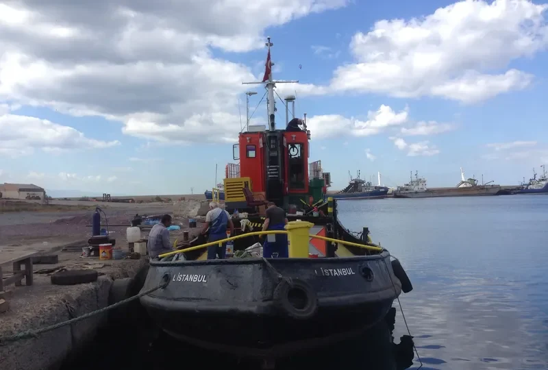 DALGIC General Cargo IMO 9099999