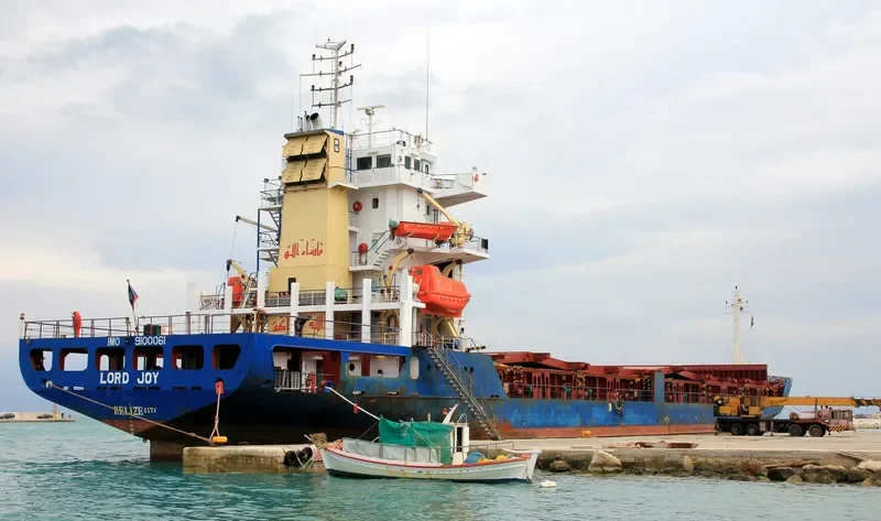 LORD JOY Container Ship IMO 9100061 photo 4