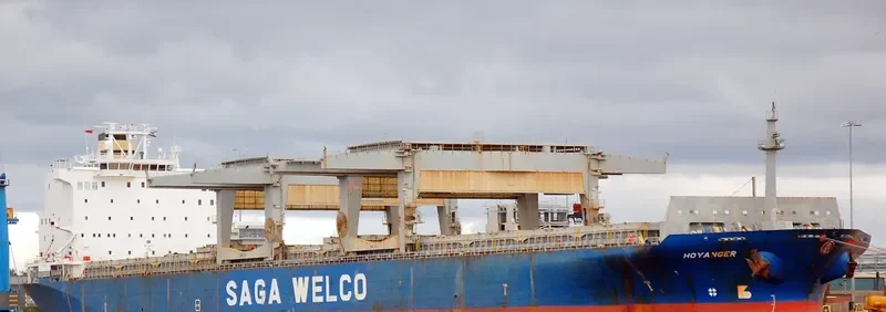 HOYANGER Container Ship IMO 9100073 photo 2