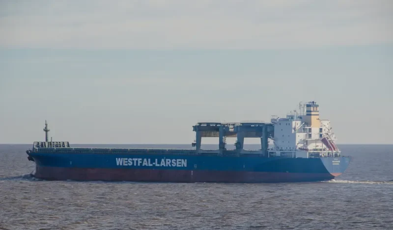 HOYANGER Container Ship IMO 9100073 photo 4
