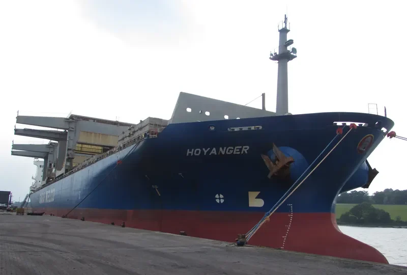 HOYANGER Container Ship IMO 9100073 photo 7