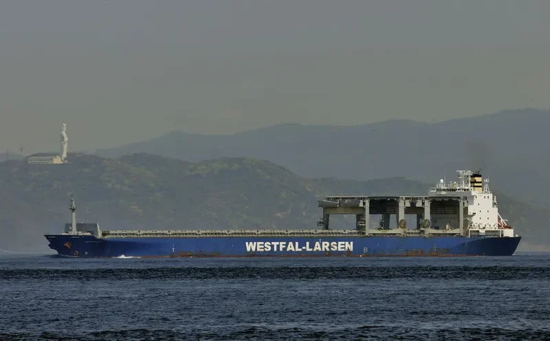 HOYANGER Container Ship IMO 9100073 photo 9