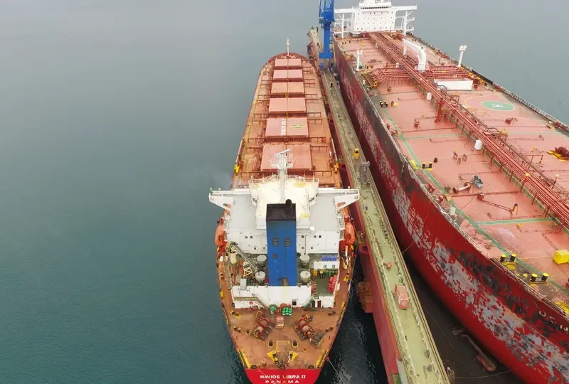 ORIENT LOONG Bulk Carrier IMO 9100085